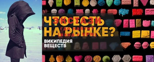 ECSTASY Каменка