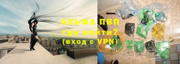 стафф Каменск-Шахтинский