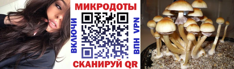 Галлюциногенные грибы ЛСД  Димитровград 